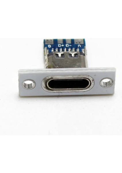 USB 3.1 Type C Panel Montaj Dişi Soket 4 Pin Smd Lehimlenebilir Padler Konnektör Telefon Şarj Board indirimleri