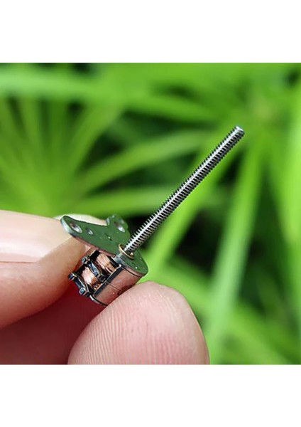 Micro Step Motor Uzun Mil 6x5,5mm 2 Faz Long Shaft (Dikkat Çok Küçüktür )