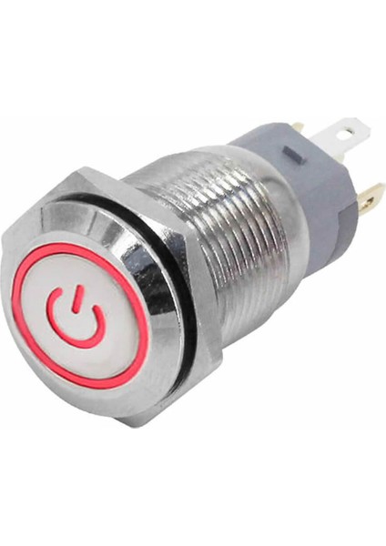 16MM Metal Buton Kırmızı Power Sembol LED Işıklı Panel Montaj Düz Kafa Kilitlemeli Dc 6A 12V IP67