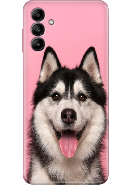 Samsung Galaxy M34 Uyumlu Kılıf Tasarım Kaliteli Kapak Hasky