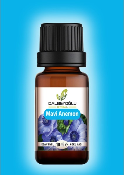 Mavi Anemon Çiçeği Esansiyel Koku Yağı 10 ml modelleri