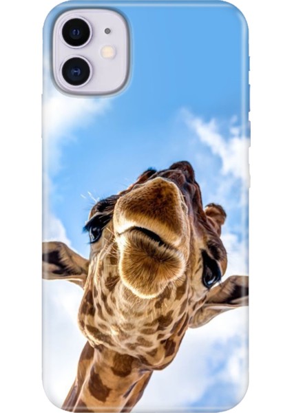 Apple iPhone 11 Kılıf Renkli Temalı iPhone 11 Silikon Öpücük