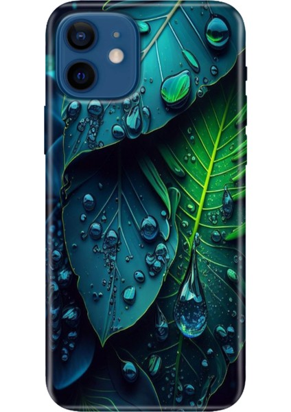 Apple iPhone 12 Kılıf Renkli Baskılı Silikon Phuket