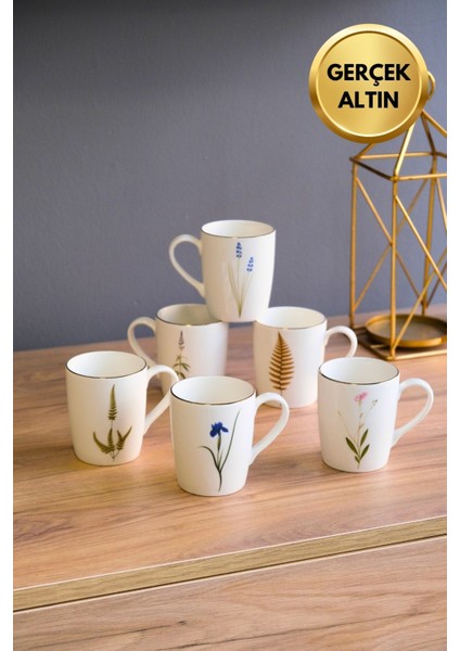 Porselen Natura Karma Kulplu Mug Kupa 9cm 220ML 6 Lı