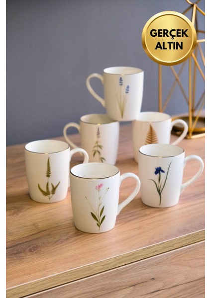 Porselen Natura Karma Kulplu Mug Kupa 9cm 220ML 6 Lı fiyatları