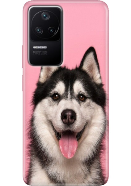 Xiaomi Poco F4 Kılıf Desenli Kapak Renkli Ermer Hasky