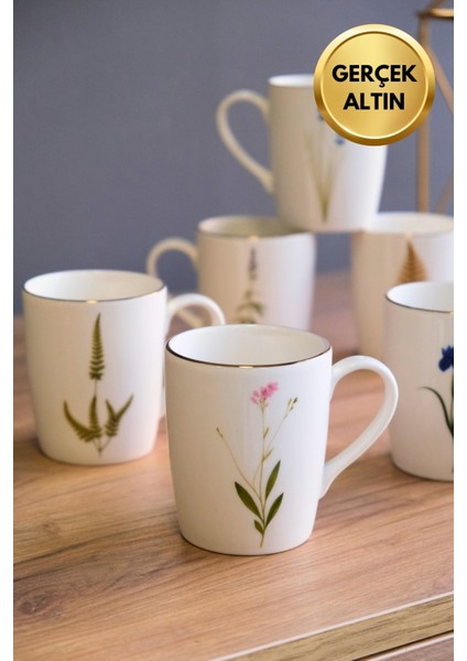 Porselen Natura Karma Kulplu Mug Kupa 9cm 220ML 6 Lı modelleri