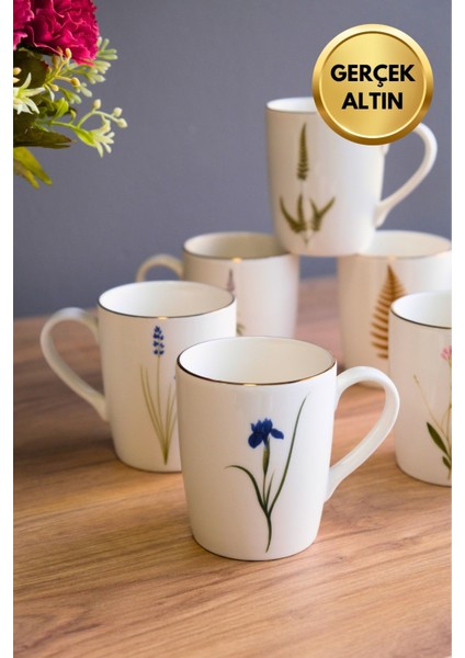 Porselen Natura Karma Kulplu Mug Kupa 9cm 220ML 6 Lı fırsatları