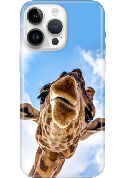 iPhone 16 Pro Max Kılıf Silikon Desenli Baskılı Cover Öpücük