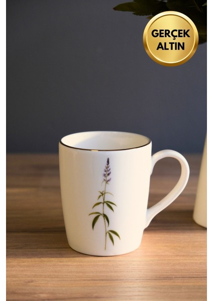 Porselen Natura Salkım Kulplu Mug Kupa 9cm 220ML Tekli fırsatları