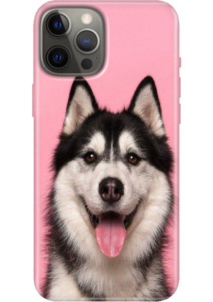 iPhone 12 Pro Max Kılıf Tasarım Baskılı Silikon Hasky