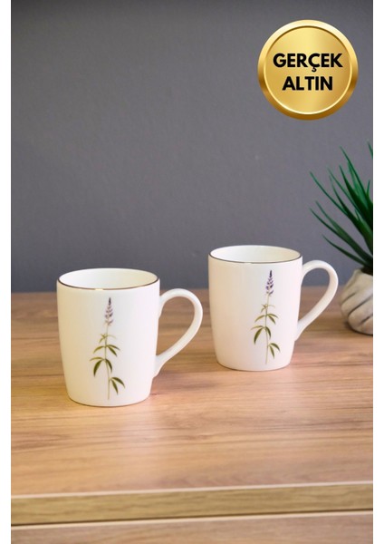 Porselen Natura Salkım Kulplu Mug Kupa 9cm 220ML 2 Li fiyatları