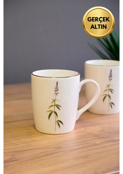 Porselen Natura Salkım Kulplu Mug Kupa 9cm 220ML 2 Li modelleri