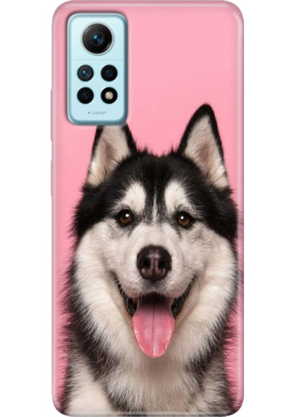 Xiaomi Redmi Note 12 Pro 4g Kılıf Desenli Outlet Silikon Hasky