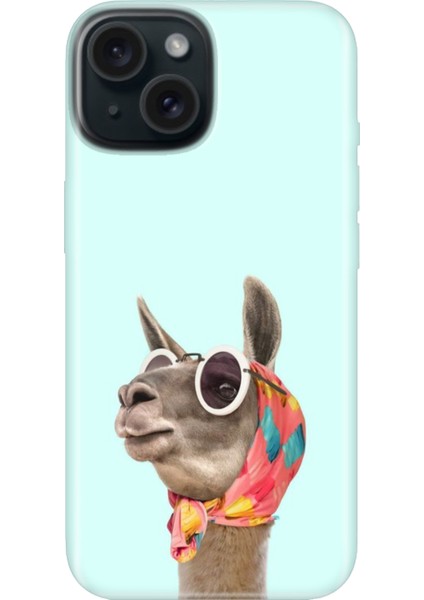 iPhone 13 - 14 Kılıf Desenli Kapak Renkli Tpu Uv Deve