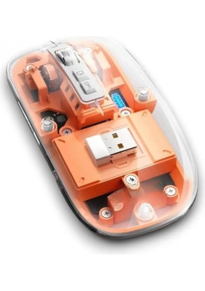 PG-9010 MOUSE FARE modelleri