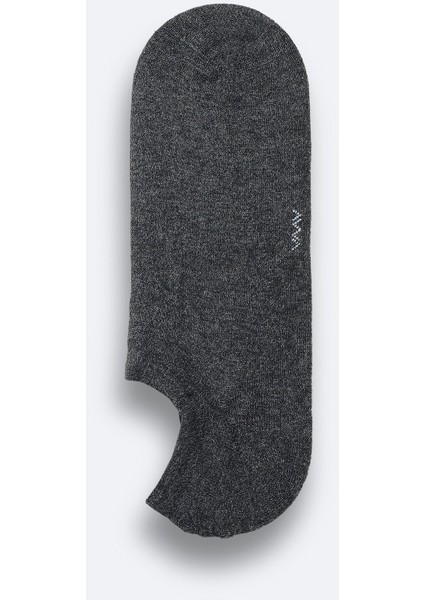 Erkek Antrasit Havlulu Sneaker Çorap B008559