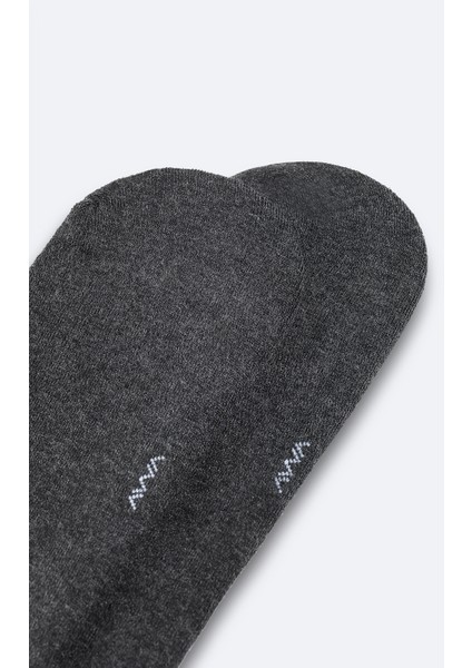 Erkek Antrasit Havlulu Sneaker Çorap B008559 fiyatları