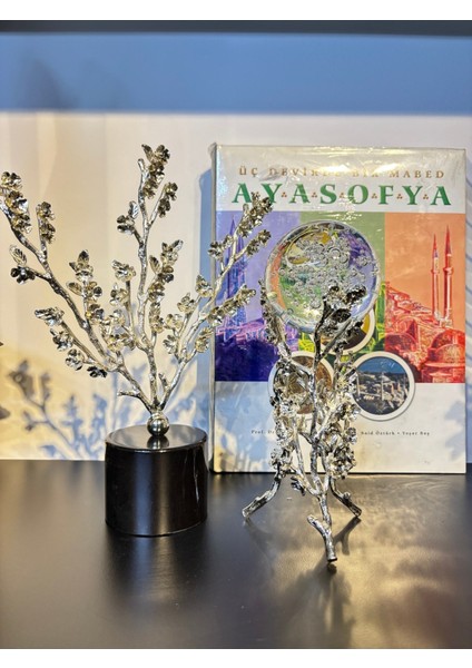 Bahardalı Cam Top-Gümüş