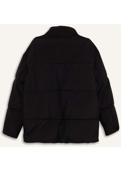 Su İtici Regular Fit Dik Yaka İç Cepli Fermuarlı Cepli Mont F5711AX25WN