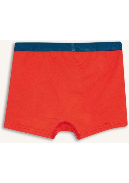 Erkek Çocuk Hot Wheels Penye 3'lü Boxer modelleri