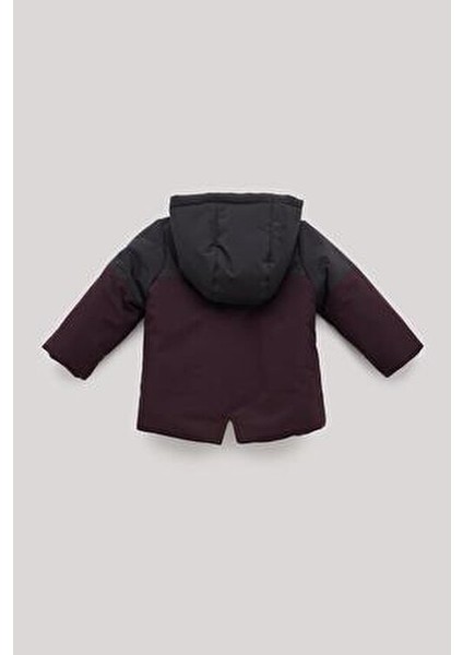 Bg Store Erkek Bebek Gri Kapüşonlu Mont Uzun Kol Slim Fit Günlük Kullanım İçin fiyatları