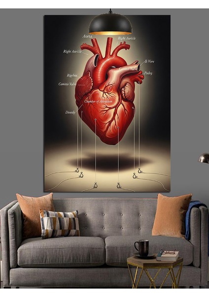 Anatomik Kalp Kırmızı Damarlar Dekoratif Kanvas - Mdf Ahşap Tablo fırsatları