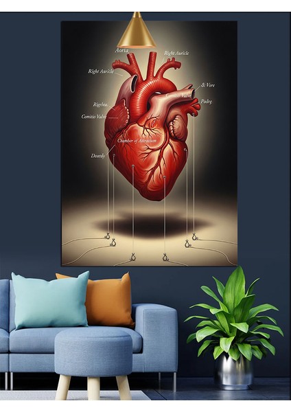 Anatomik Kalp Kırmızı Damarlar Dekoratif Kanvas - Mdf Ahşap Tablo indirimleri
