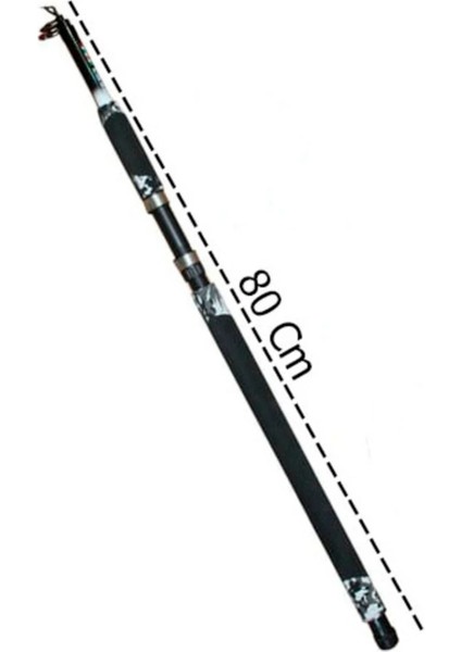 Profosyonel Deniz ve Göl Olta Takım 100-250GR Atarlı Kamış modelleri