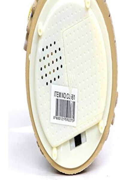 Keman Çalan Papatyalı Kız Püskürtmeli & Işıklı & Müzikli Kar Küresi