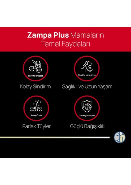 Plus Yetişkin Köpekler İçin Biftekli & Pirinçli Premium Kuru Mama 15kg (Yüksek Enerji) indirimleri