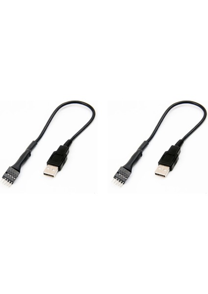 2x 9pin Erkek Harici Usb&#39;den Bir Erkek Pc Ana Pano Dahili Veri Uzatma Kablosu 20 cm (Yurt Dışından)
