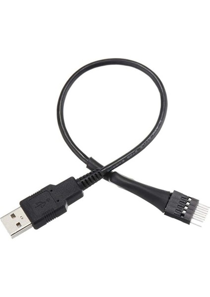 2x 9pin Erkek Harici Usb&#39;den Bir Erkek Pc Ana Pano Dahili Veri Uzatma Kablosu 20 cm (Yurt Dışından) fiyatları