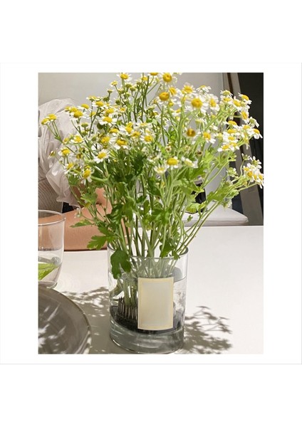 Paslanmaz Çiçek Kurbağaları Kenzan Metal Yuvarlak Çiçek Frog Vazo Arzu Pin Tutucu Dıy Çiçek Araç Düzenlemeleri (Yurt Dışından) indirimleri