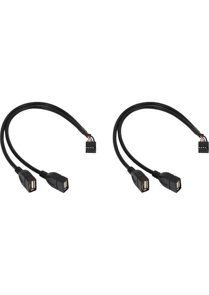 2 Adet 30CM 10 Pin Anakart Dişi Başlığı 2 Port Çift USB 2.0 Erkek Adaptörü Dupont Y Ayırıcı Kablosu (10PIN/02:00) (Yurt Dışından)