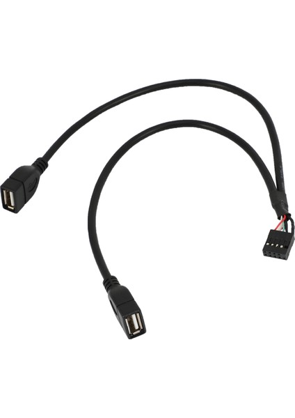 2 Adet 30CM 10 Pin Anakart Dişi Başlığı 2 Port Çift USB 2.0 Erkek Adaptörü Dupont Y Ayırıcı Kablosu (10PIN/02:00) (Yurt Dışından) indirimleri
