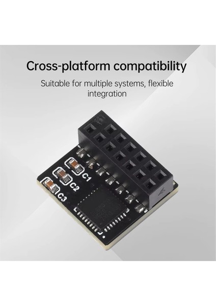 Tpm 2.0 Spı Paralel Şifreleme Güvenliği Modülü 14 Pin Spı Uzak Kart Kartı Şifreleme Güvenlik Kartı Asus Için (Yurt Dışından) indirimleri