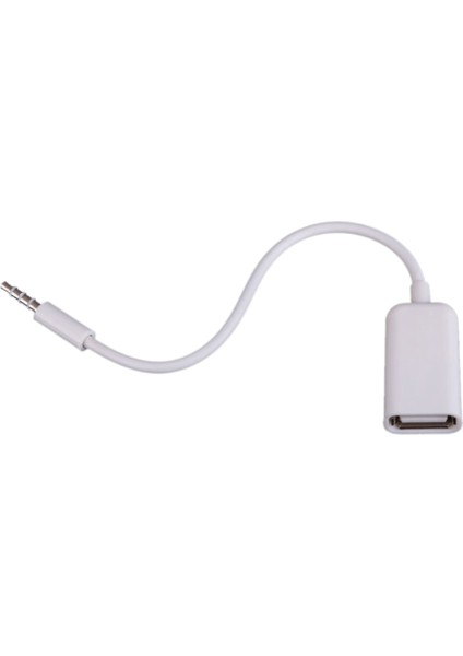 3x USB Dişi - Aux 3,5mm Erkek Jack Fiş Ses Dönüştürücü Adaptör Veri Kablosu (Yurt Dışından) fiyatları