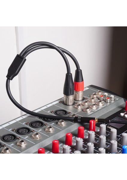 Hoparlör Mikseri Için Çift Xlr Ila 1/8 Dişi Adaptör, Dengeli Mini Jak (3.5mm) Mikrofon Kablosu (Yurt Dışından) fiyatları