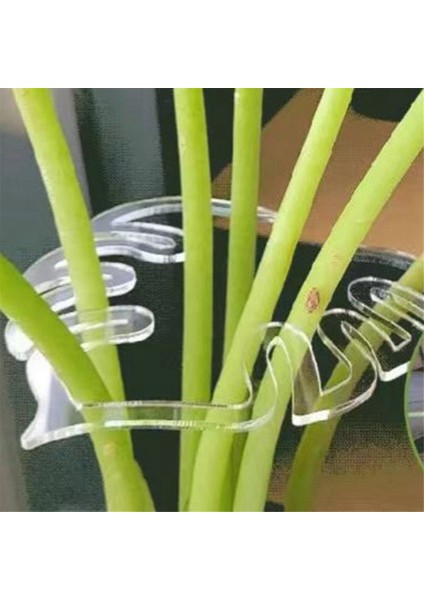 2pcs Bitki Kök Plastik Desteği, Çiçek Kök Tutucu, Yeniden Kullanılabilir Bitki Tutma Desteği, A+B (Yurt Dışından) fiyatları