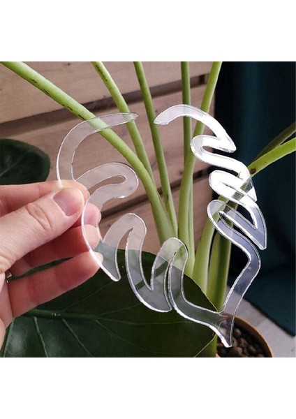 2pcs Bitki Kök Plastik Desteği, Çiçek Kök Tutucu, Yeniden Kullanılabilir Bitki Tutma Desteği, A+B (Yurt Dışından) fırsatları