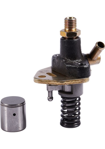 186F Solenoid Valf ve 186F Motor Enjektör Nozul Enjektör Nozul Olmadan Yakıt Enjeksiyon Pompası Için (Yurt Dışından) modelleri