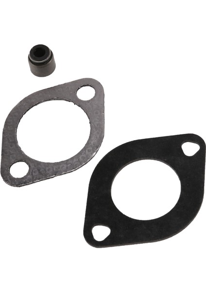 4x 794152 18 5hp Briggs &amp Stratton Için Intek Motor Valf Conta Seti 690190 B &amp S (Yurt Dışından) fiyatları