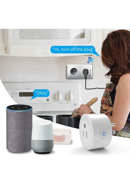 Alexa Google Us Flug Için Güç Izleme ve Zamanlama Fonksiyonu Zigbee Akıllı Ses Kontrolü 16A (Yurt Dışından) fiyatları