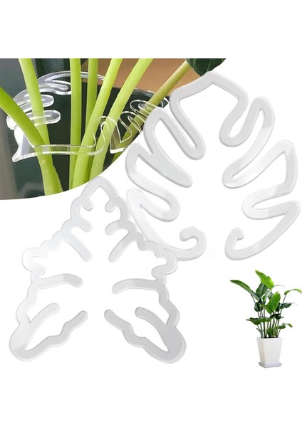 2pcs Monstera Grapple Monstera Yaprak Fabrikası Destek Kaplumbağa Kabuğu Bambu Kelepçe Seti Benzersiz ve Estetik Monstera Bitki Desteği (Yurt Dışından) fiyatları