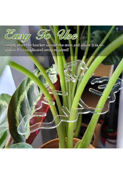 2pcs Monstera Grapple Monstera Yaprak Fabrikası Destek Kaplumbağa Kabuğu Bambu Kelepçe Seti Benzersiz ve Estetik Monstera Bitki Desteği (Yurt Dışından) modelleri