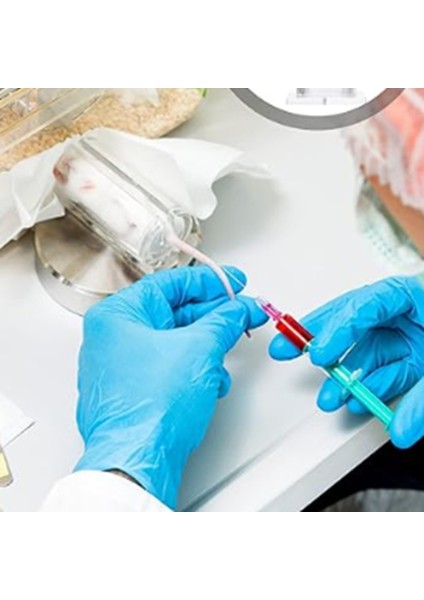 Fare Tutucu Fare Tutucu Kelepçe Tutucu Karın Enjeksiyon Fare Kafesi Laboratuvar Ekipmanı Tutucu Plexigla (Yurt Dışından) modelleri