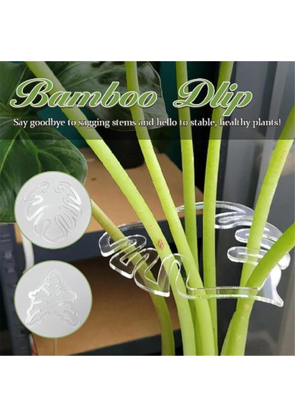 2pcs Monstera Grapple Monstera Yaprak Fabrikası Destek Kaplumbağa Kabuğu Bambu Kelepçe Seti Benzersiz ve Estetik Monstera Bitki Desteği (Yurt Dışından) fırsatları