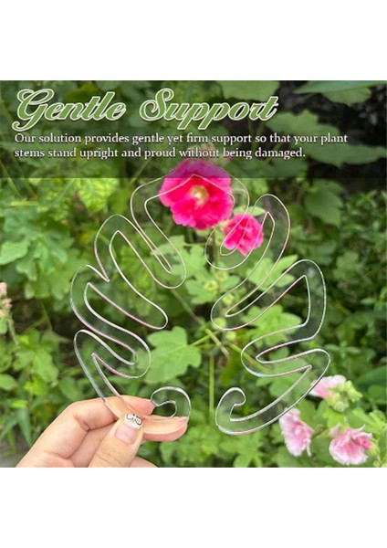 2pcs Monstera Grapple Monstera Yaprak Fabrikası Destek Kaplumbağa Kabuğu Bambu Kelepçe Seti Benzersiz ve Estetik Monstera Bitki Desteği (Yurt Dışından) indirimleri