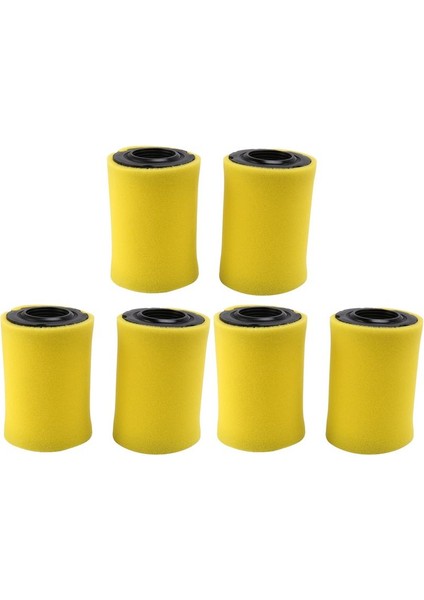 Biçme Hava Filtreleri Briggs Stratton 796031 (591334 Veya 594201) Artı 797704 Köpük Ön Temizleyici (6 Paketi) (Yurt Dışından)
